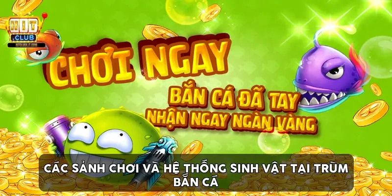 Các Sảnh Chơi Và Hệ Thống Sinh Vật Tại Trùm Bắn Cá